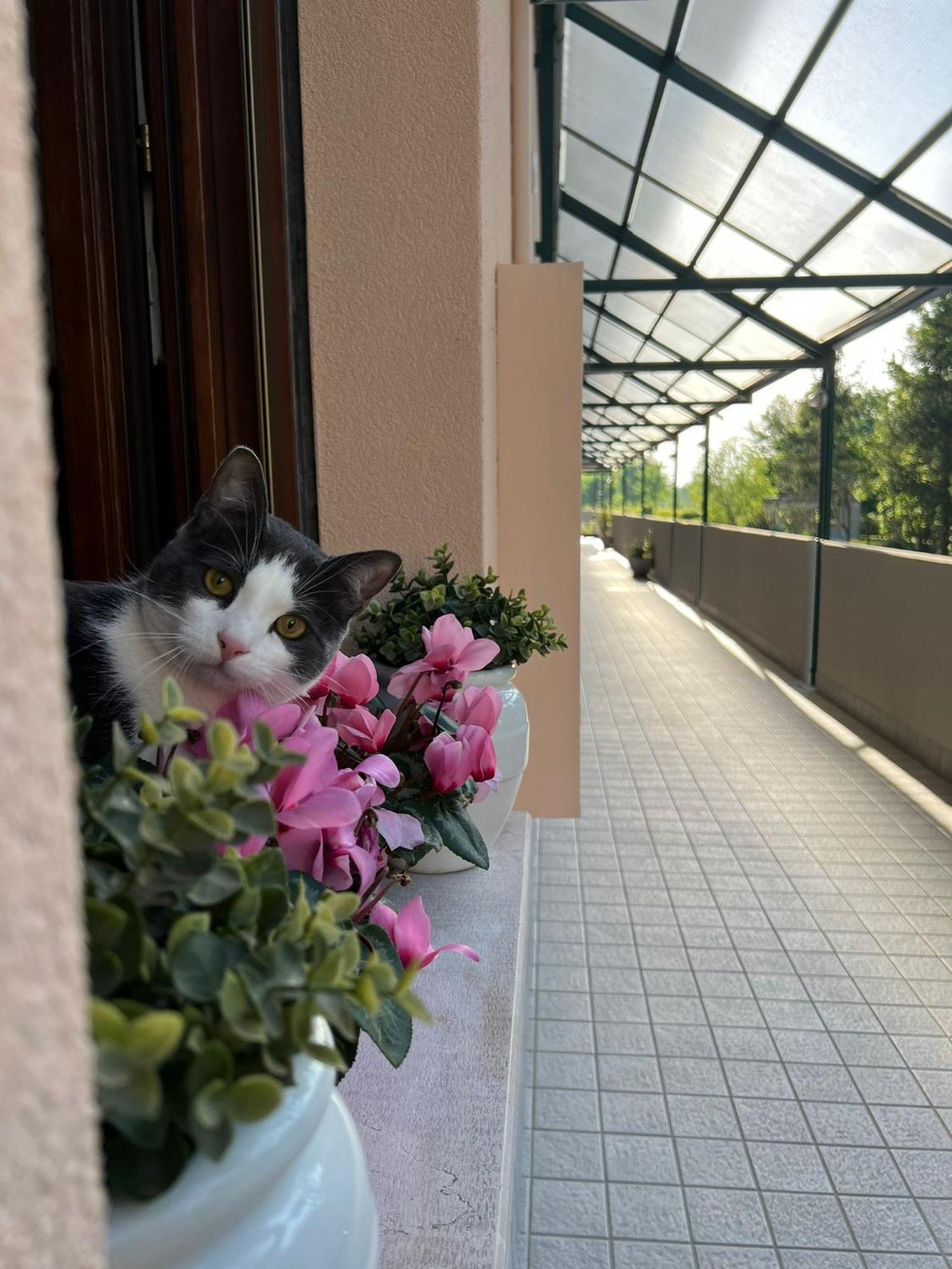 Appartamento Sangiuliano Mestre Exterior foto
